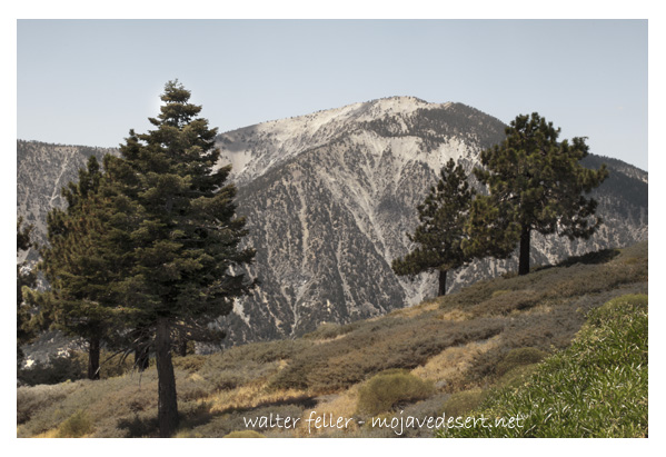 Mt. Baden-Powell as viewed from Inspiration Point, Wrightwood. Ca.
