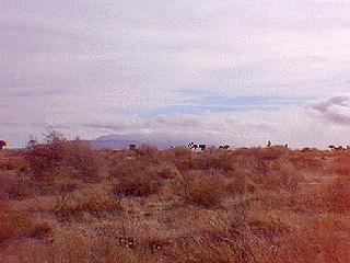 storm cloud, rainbow, wrightwood, phelan, california, mojave desert, schools, snowline school district, oak springs valley, oak hills, baldy mesa, victorville