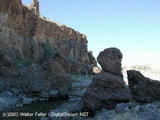 amargosa river near Death Valley
