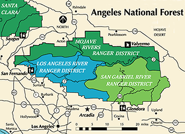 angeles forest