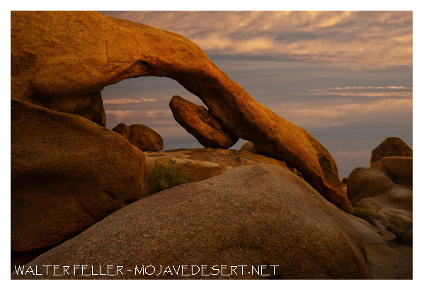 Natural arch in Joshua Tree National Park
