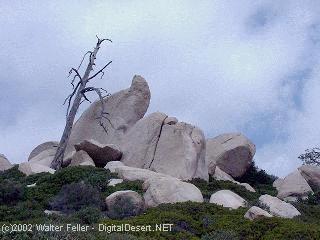Arrowhead Pinnacles trail photo, San Bernardino National Forest