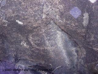 petroglyph photo