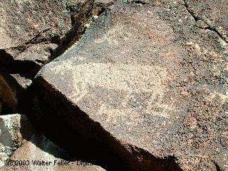 indian petroglyphs
