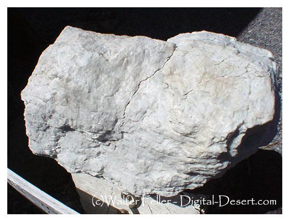 Talc ore formed from dolomite