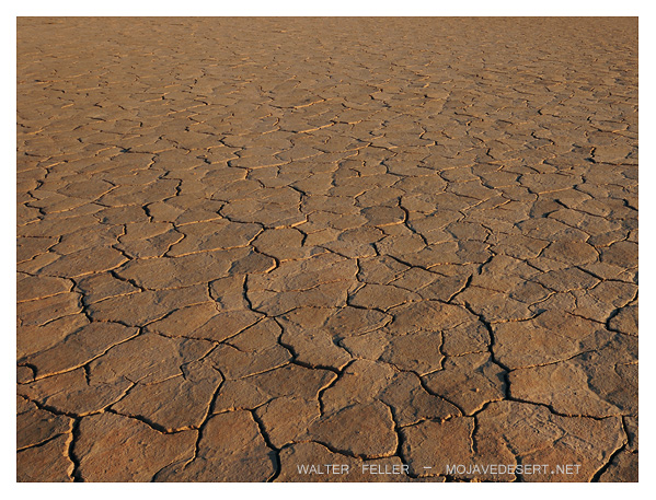 Times in the Mojave were more arid than ever.