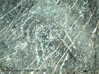 petroglyph picture, death valley