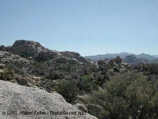 Desert Queen Mine, Joshua Tree National Park