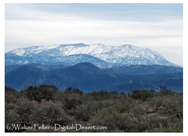 Ten Thousand Foot Ridge - San Bernardino National Forest
