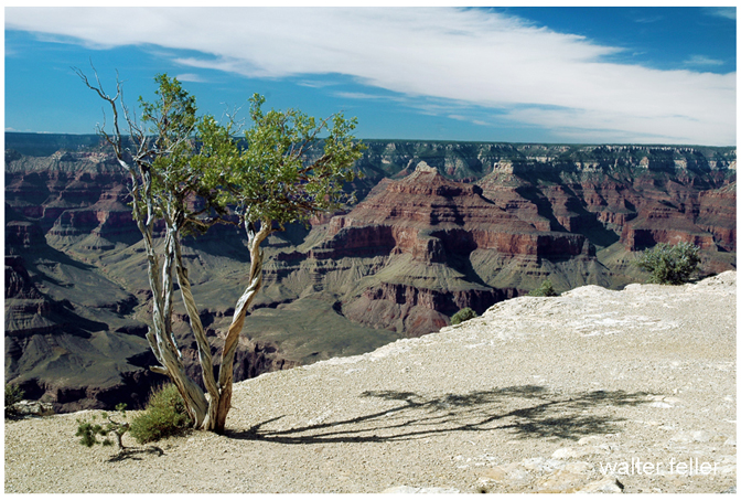 Maricopa Point in Grand Canyon