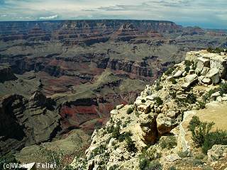 moran point - grand canyon photos