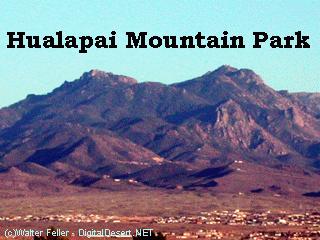 Hualapai Mountain Park, Kingman, Az