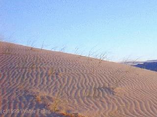 kelso dunes, mojave preserve photo tours