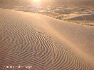 kelso dunes, mojave preserve photo tours