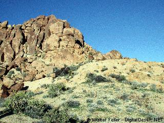 Mastodon Peak, Joshua Tree National Park