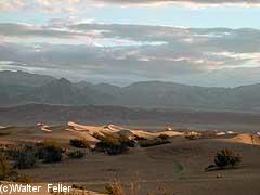 photo of Death Valley Sand Dunes