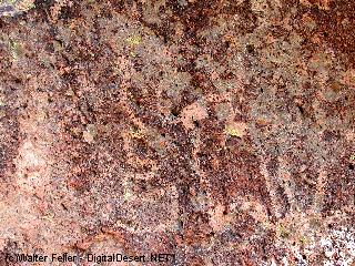 rock art, petroglyph photo