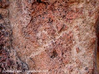 rock art, petroglyph photo