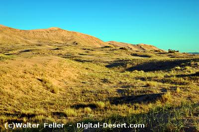 Kelso Dunes, Mojave Preserve, Eastern Mojave Desert