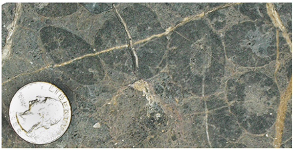 Image of pisolites from the  Cambrian Chambless Formation