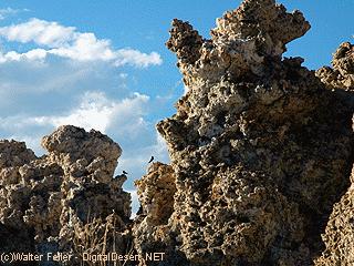 mono lake picture