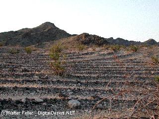 Topock Maze Photo