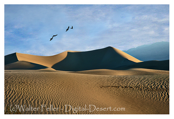 photo of Mesquite Flats Sand Dunes near Stovepipe Wells in Death Valley