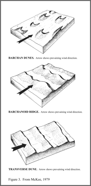 Sand Dunes Formed