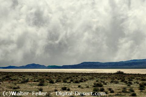 Silver Lake dry lake, Mojave Desert north of Baker
