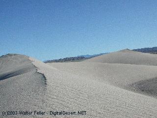 dumont sand dunes photo