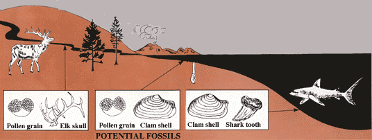 Diagram showing modern landscape and potential fossils