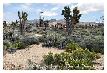 Dawson Camp/Death Valley Mine Mojave National Preserve