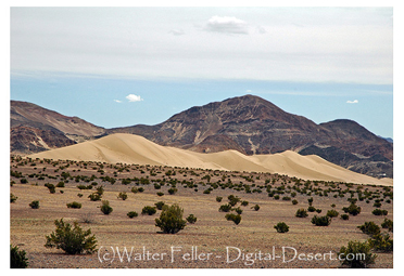 Ibex Dunes - Death Valley