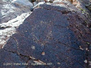 petroglyph photo
