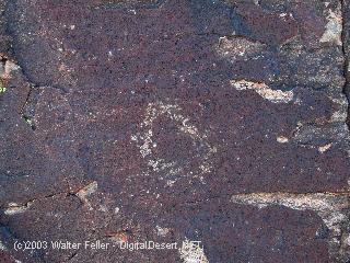 petroglyph photo