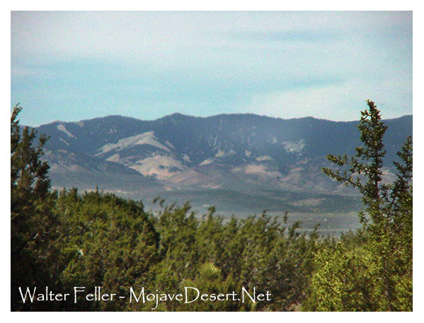 Tehachapi Mountain Range, Antelope Valley