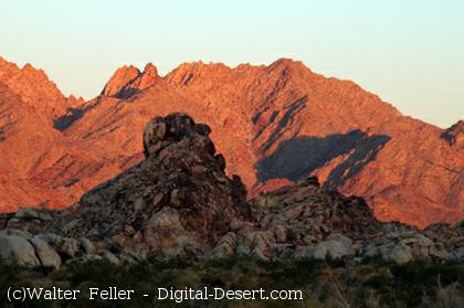 Joshua Tree National Park