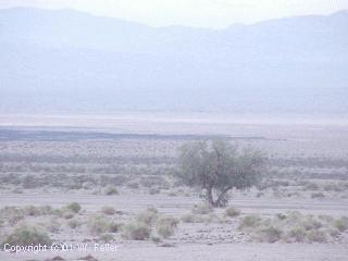 route 66 at Bagdad
