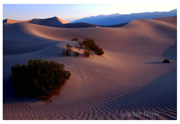 photo of mesquite sand dunes in Death Valley