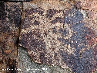 indian petroglyph photo