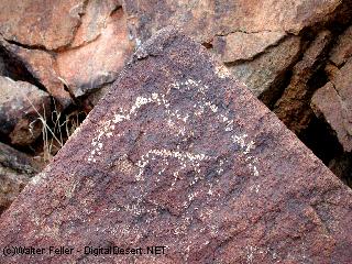 indian petroglyph photo