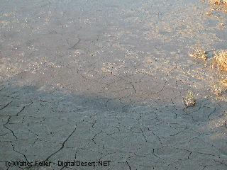 Tecopa Hot Springs photo