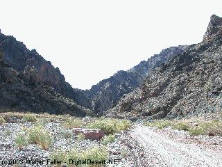 Death Valley photo, Titus Canyon