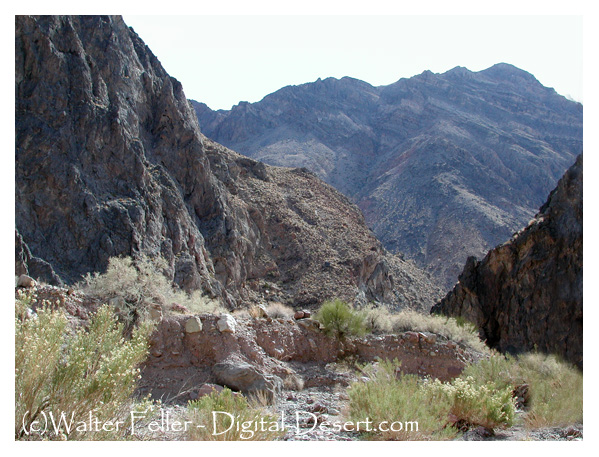 Photo of narrows in Titus Canyon, Death Valley