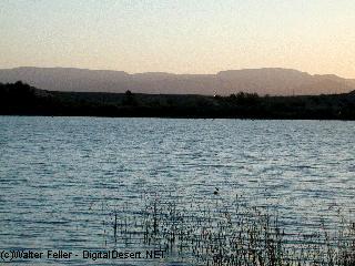 topock marsh - colorado river
