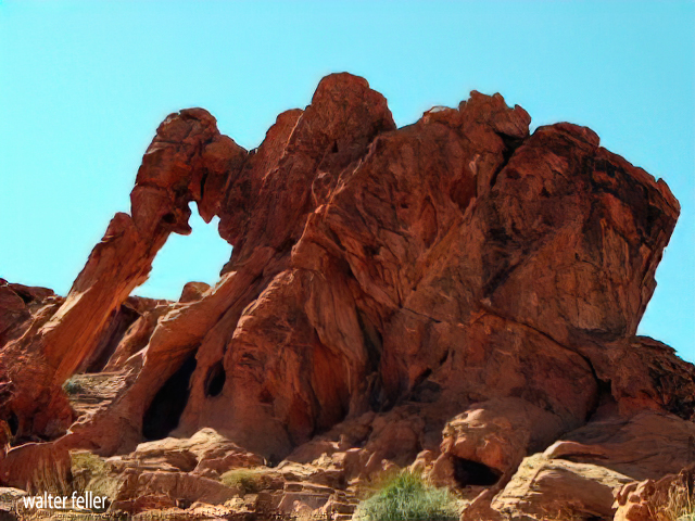 Photo of Elephant/Mosquito Rock in Valley of Fire, Nevada