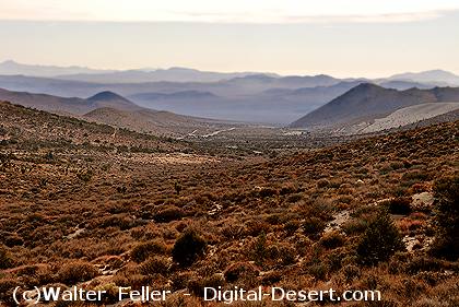 Looking east into the Mojave from the top of Walker Pass