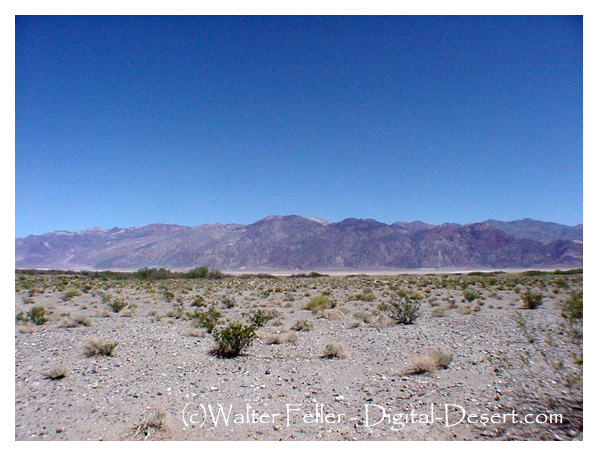 Photo of Bennett's Long Camp, Westside Road, Death Valley
