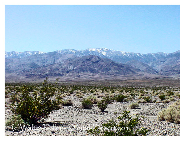 Telescope Peak in Death Valley as viewed from the West Side road.