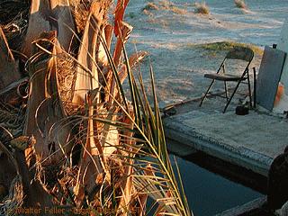Wild Pool - Tecopa Hot Springs photo
